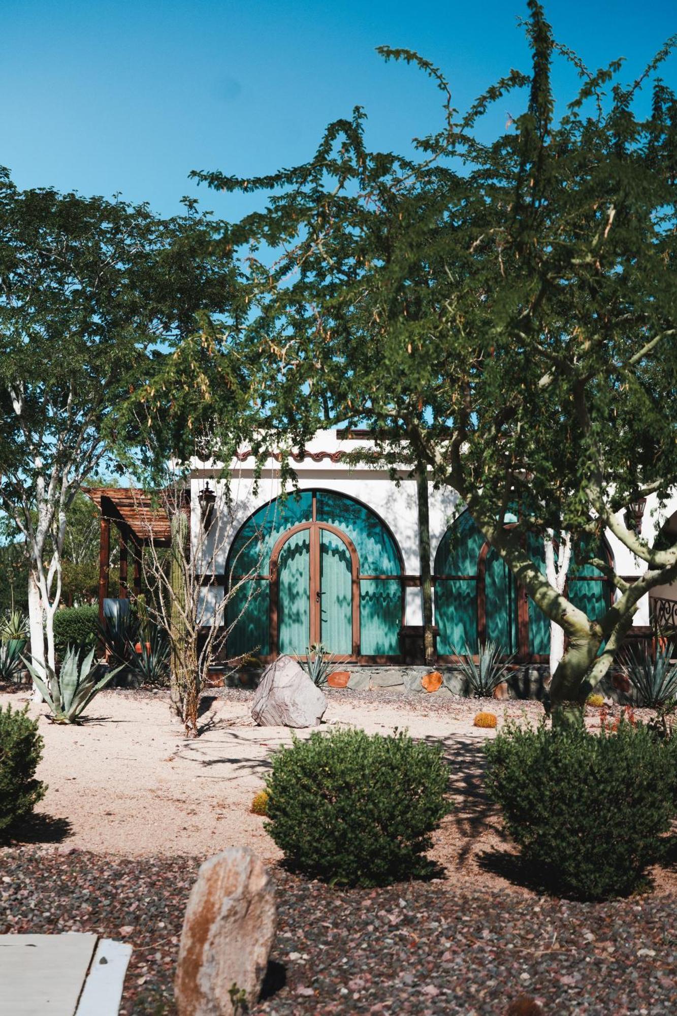 Orchid House Baja